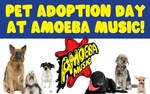 Amoeba Pet Adoption