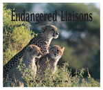 Endangered Liaisons – An African Odyssey