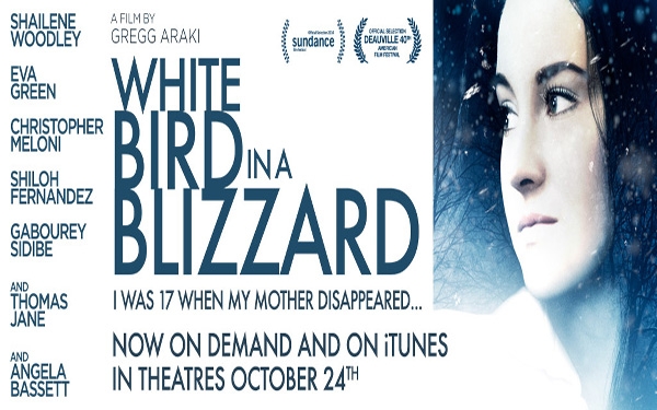 ~White Bird in a Blizzard~
