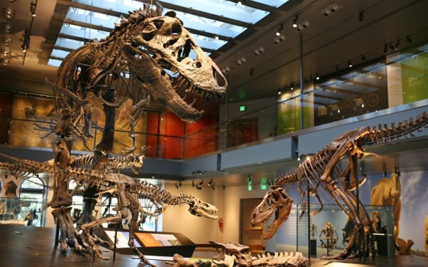 Dinosaur Hall