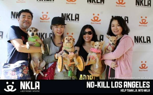 No Kill LA Pet Adoption Weekend