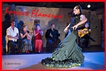 Forever Flamenco