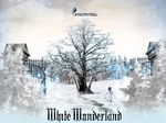 White Wonderland