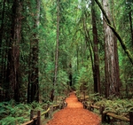 Sonoma County