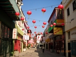 Chinese New Year Festival