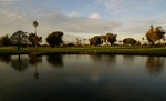 GLinks Golf