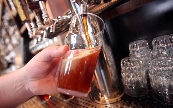 Want to Major in Beer During College?