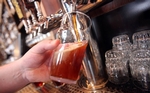 Want to Major in Beer During College?