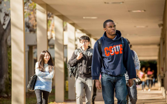 Motive A Mystery in Slaying of Cal State Fullerton Student