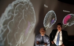 USC Made Its Offer to Neuroscientists A No-Brainer