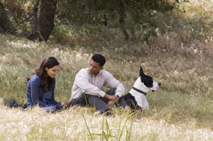 Holiday Film Guide