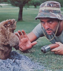 <i>Caddyshack</i>