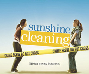 Sunshine Cleaning