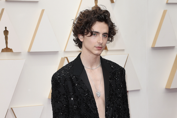 Timothée Chalamet didn't audition for 'Wonka.' The director saw his YouTube videos