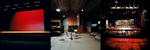 Static Noise: The Photographs of Rhona Bitner