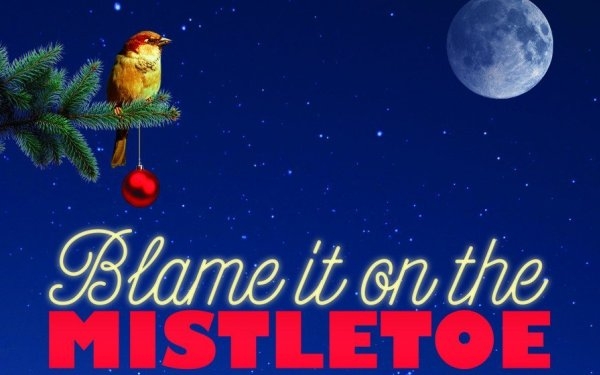 Blame It On The Mistletoe