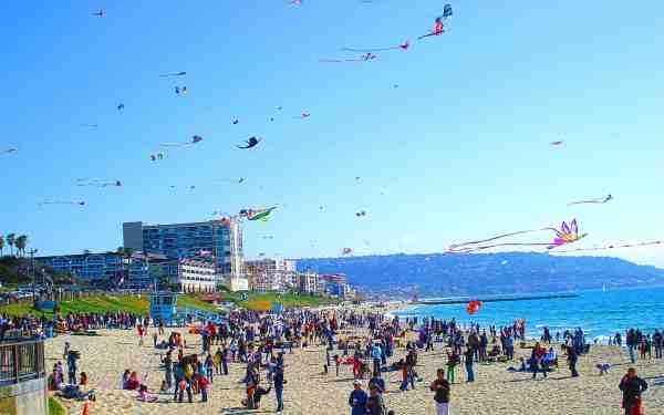 Festival of the Kite