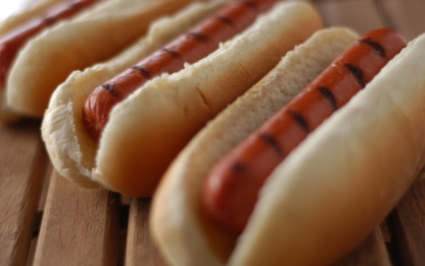 Dollar Dog Night