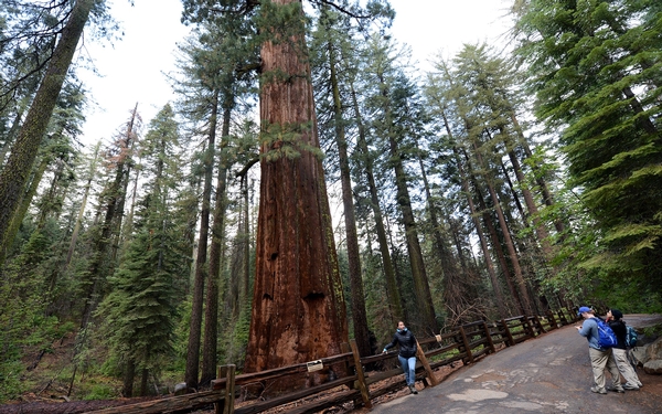 A Yosemite park ranger’s five favorite spots