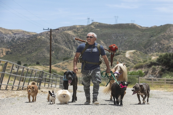Lots of us adopted dogs in quarantine: ‘Dog Whisperer’ César Millán has some tips