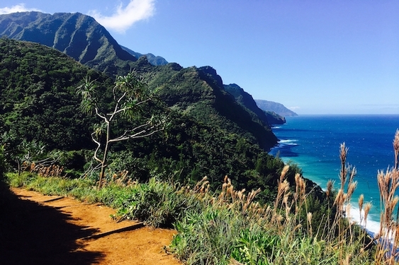 Maui vs. Kauai: Which Hawaiian island is better for you?