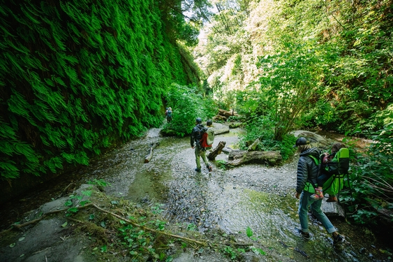 This lush California trail has 'Jurassic Park' vibes. Here's how to book a reservation