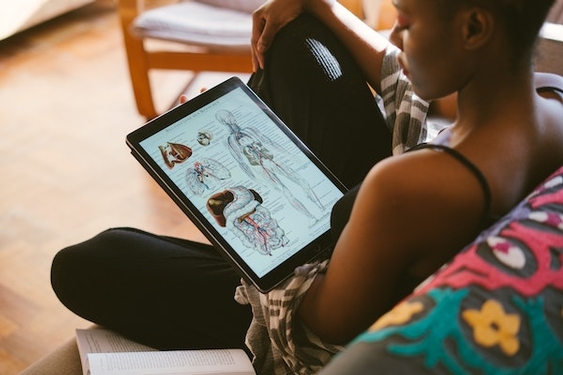 6 Best Resources for Learning Anatomy