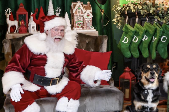 Westfield Century City is Offering A Winter Wonderland Experience this Holiday Season!