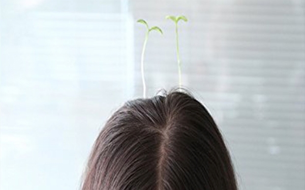 China’s new hair fad leaves people sprouting something green