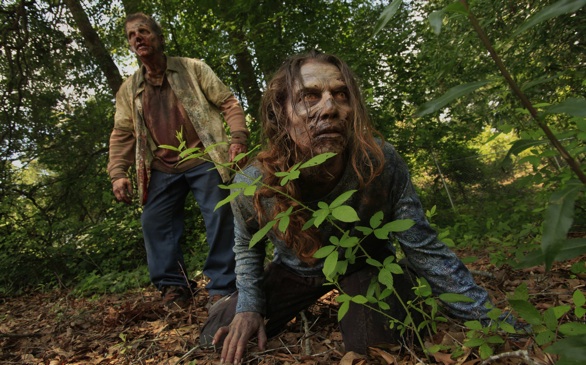 College Students Can Take 'The Walking Dead' Online Course