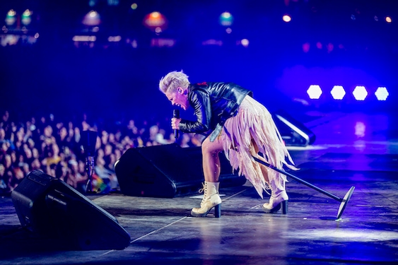 Pink highlights new crop of music documentaries