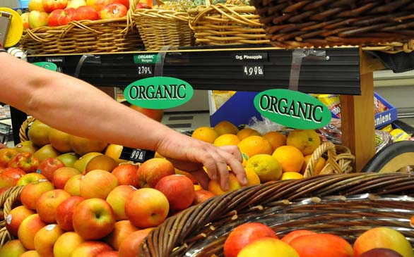 The Case for Organic Food