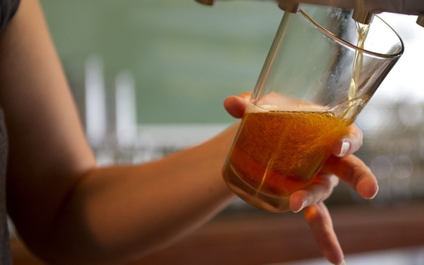 Wish You Could Minor in Beer? Then Transfer to this College