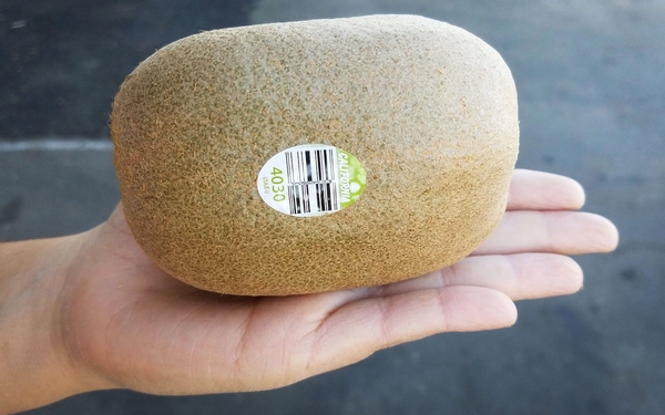 You like kiwi? Then you might love this monster-size variety of the fruit