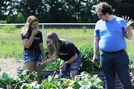 Produce grown on this campus goes to hungry students