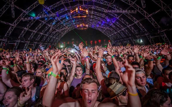 More Than Just Brain Cells Lost at Coachella