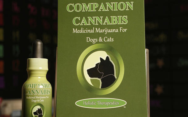 Medical marijuana for dogs and cats? Nevada lawmaker says yes