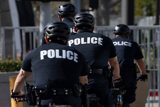 Bias, far-right sympathies among California law enforcement going unchecked, audit finds
