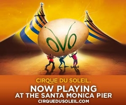 Cirque du Soleil: OVO