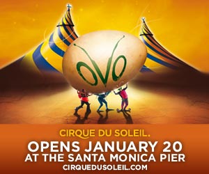 OVO from Cirque du Soleil